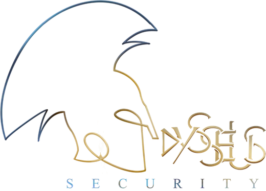 Logo Odysseus Security